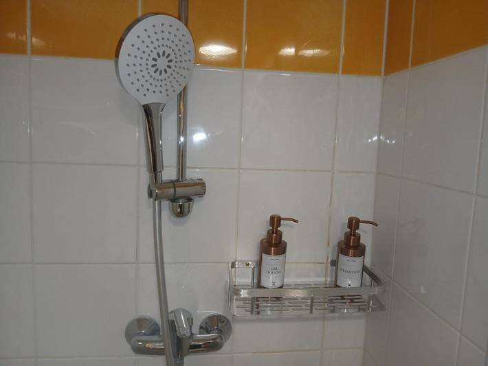 Gîte pour 2 personnes, animaux acceptés à Nogent-sur-Marne - 4