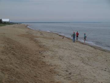 Cottage for 4 Guests in Mashpee, Cape Cod, Picture 1
