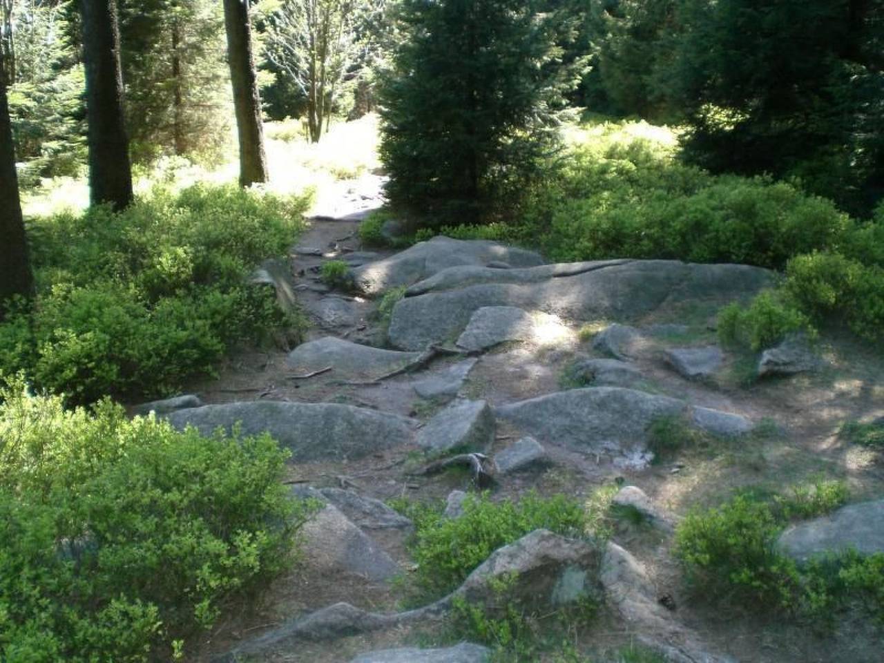 Drabik, foto 11