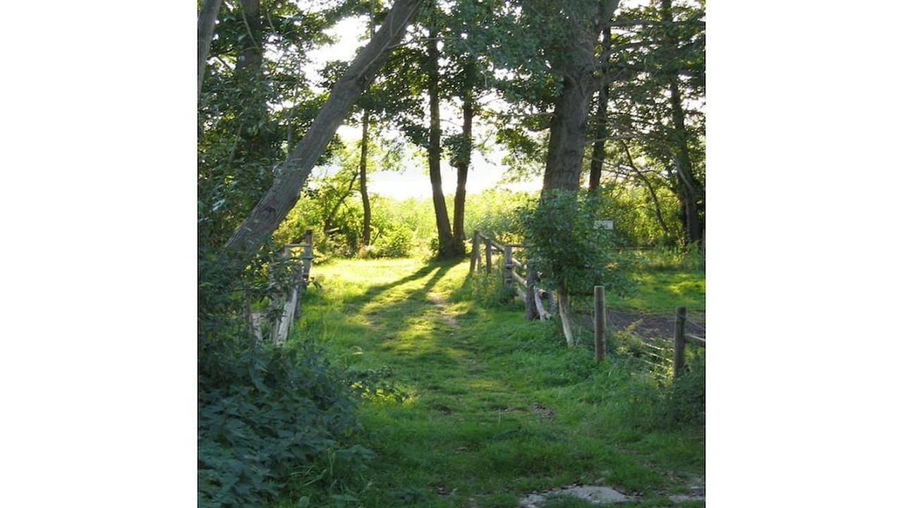 Ferienhaus für 4 Personen (75 m²) in Seehof in Neuruppin, Ruppiner Seenland