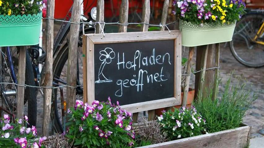 Ferienwohnung für 6 Personen, mit Garten in Schaprode - 4