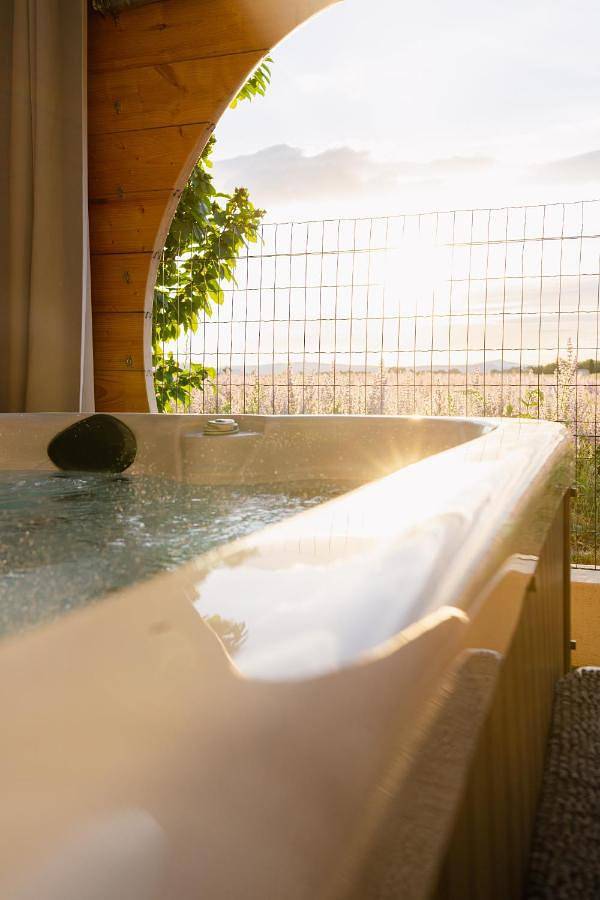 Chambre d’hôte pour 2 personnes, avec jardin et jacuzzi dans les Alpes-de-Haute-Provence - 3