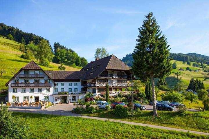 Hôtel pour 2 personnes, avec vue et piscine ainsi que sauna et jardin, animaux acceptés