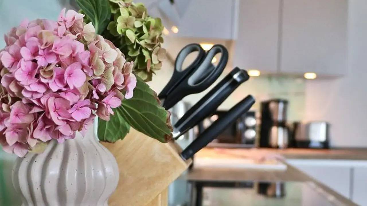 Ganze Ferienwohnung, Ferienwohnung für 4 Personen (48 m²) in Oelsnitz in Oelsnitz, Oelsnitz - Vogtland & Umgebung