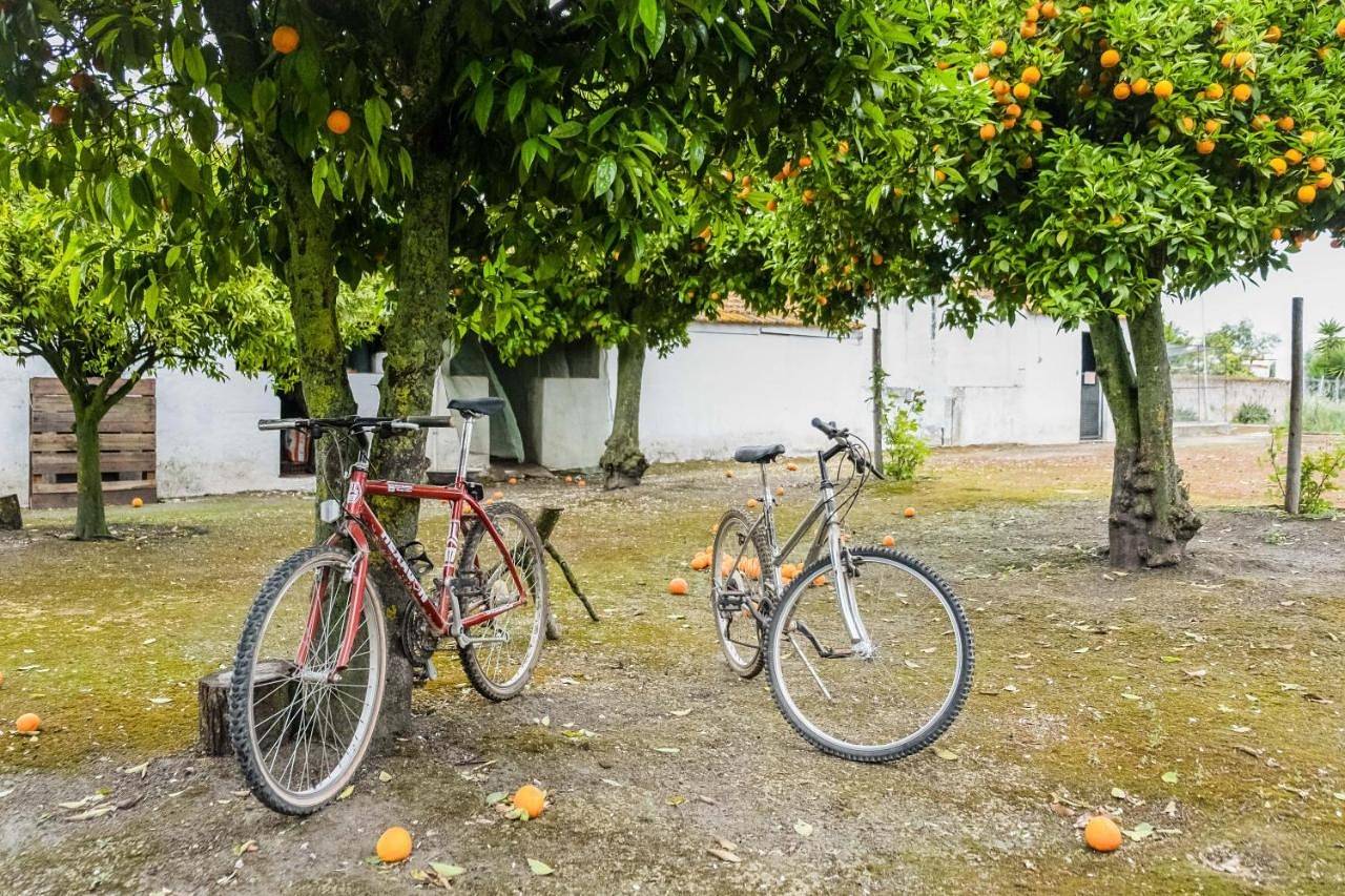 Pousada para 10 pessoas com jardim in Sousel, Distrito de Portalegre