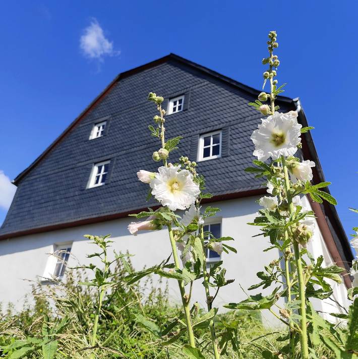Ferienhaus für 6 Personen, mit Garten