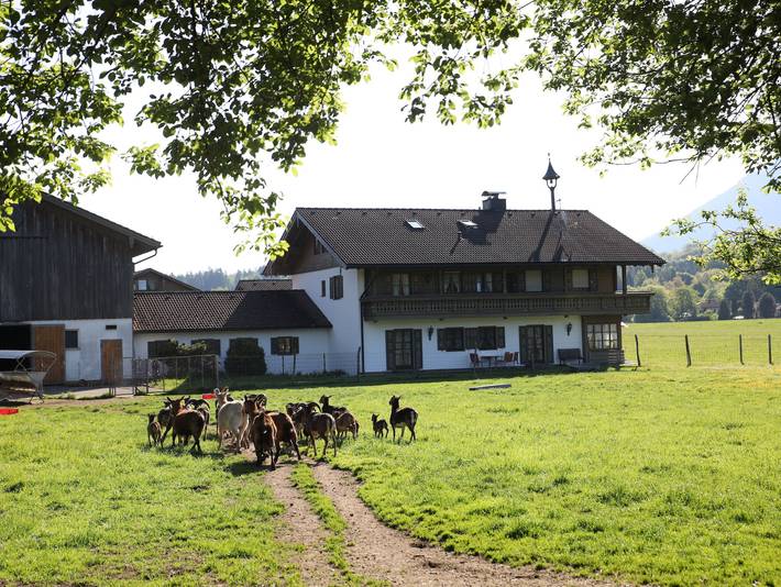 Ganze Ferienwohnung, Kleinreiterhof Ferienwohnungen Limmer - Gemütliches Appartement 1-3 Personen, Balkon und Blick ins Bergpanorama in Bad Reichenhall, Bayerische Alpen