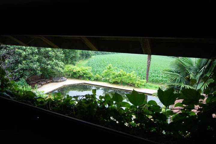 Chambre d’hôte pour 2 personnes, avec terrasse ainsi que vue et jardin, animaux acceptés à Montfort-en-Chalosse - 2