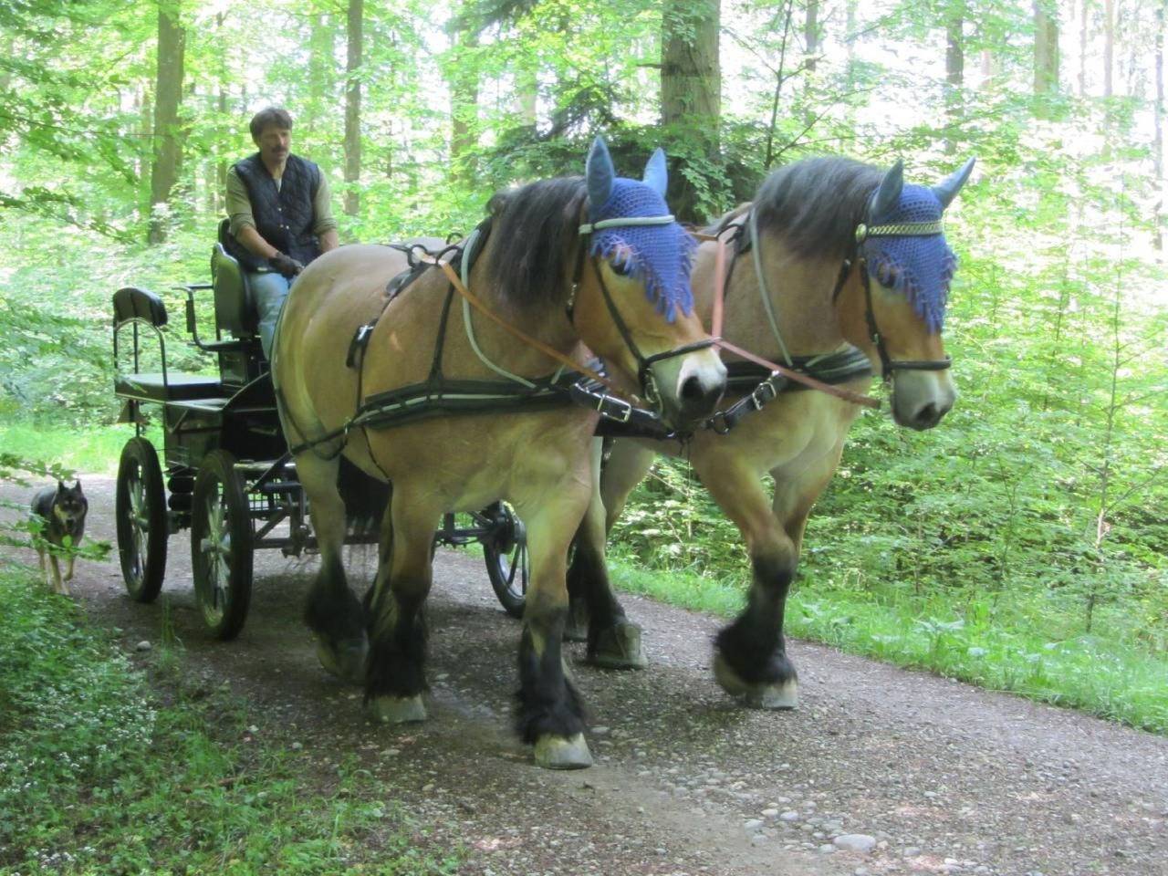 Appartement entier, Tieroase Grünegg in Eschenz, Lac de Constance (Suisse)