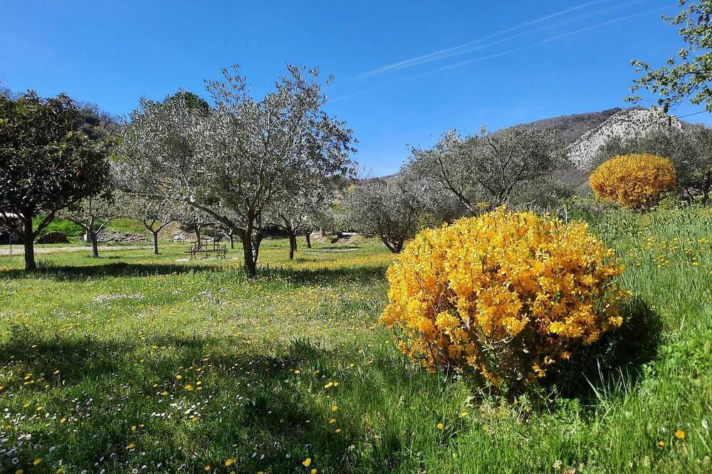 Appartement entier, Découvrez  les Gorges de Daluis , du Cians et du Verdon in Entrevaux, Région Castellane