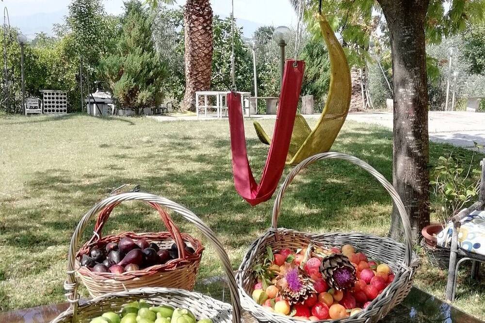 Landhaus von grünen Palmen Oleander,Olivenbäume und Weinbergen umgeben in Monsampolo del Tronto, Ascoli Piceno Provinz