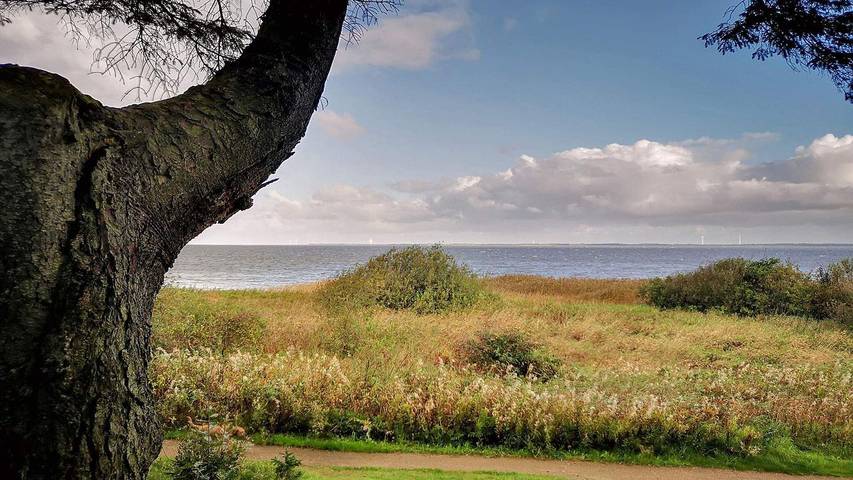 Ferienhaus für 9 Personen, mit Garten und Whirlpool sowie Sauna in Nørhede Vest - 4