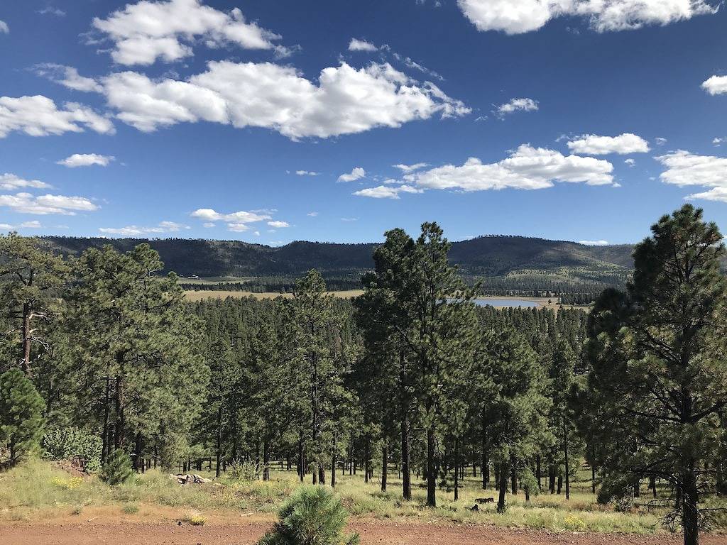 Big Bear Cabin in der White Mountain Lodge in Greer, Apache County