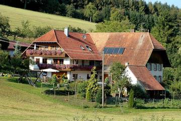 Bauernhof für 5 Personen, mit Balkon und Garten in Schuttertal