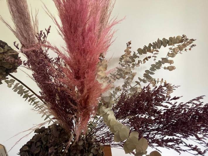 Gîte pour 4 personnes, avec jardin ainsi que vue et terrasse à Déville-lès-Rouen - 2