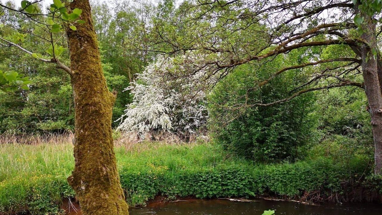Ferienhaus für 6 Personen (125 m²) in Ansager in Ansager, Varde