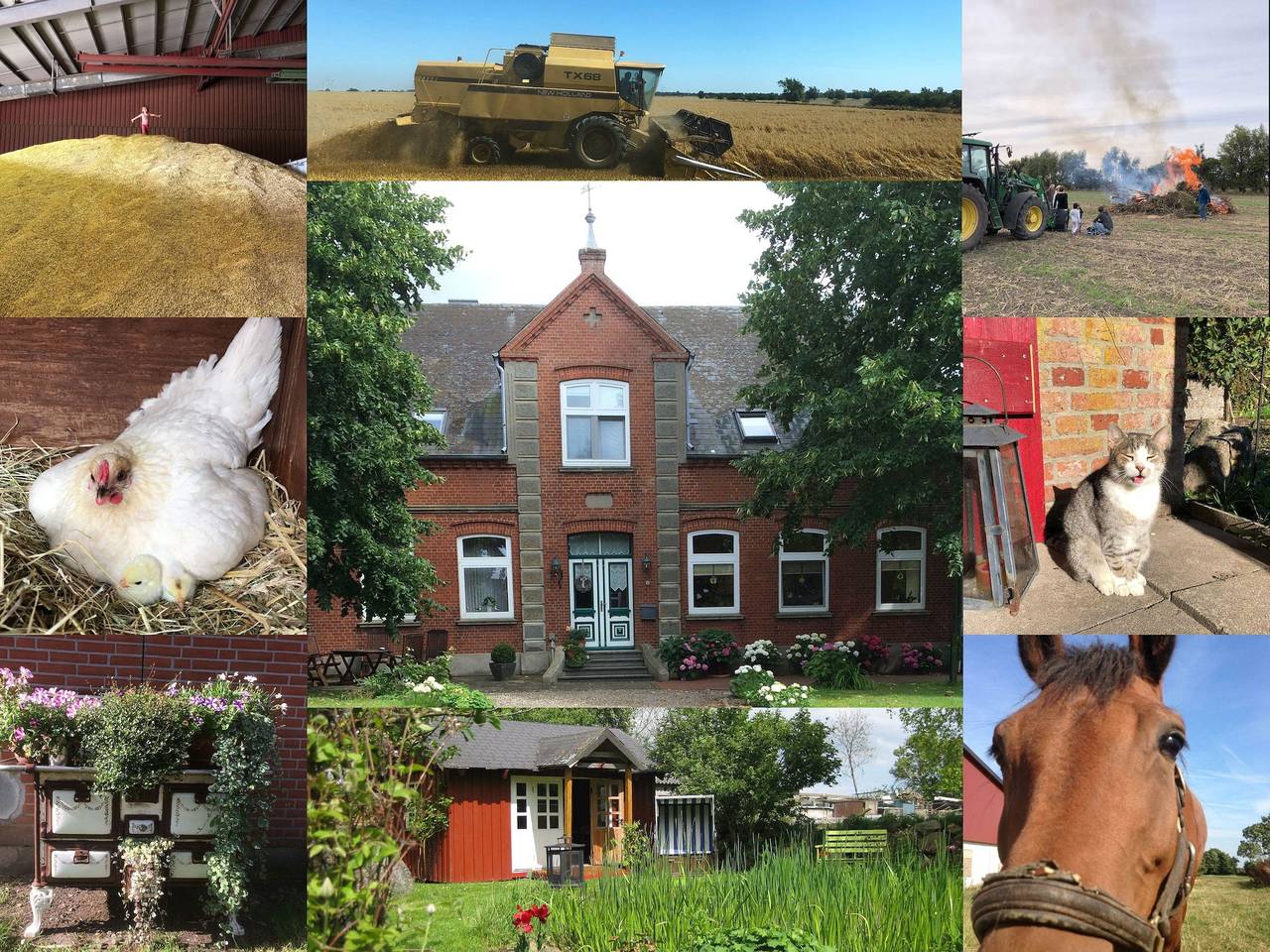 Ferienwohnung in Fehmarn ab 103€ pro Nacht