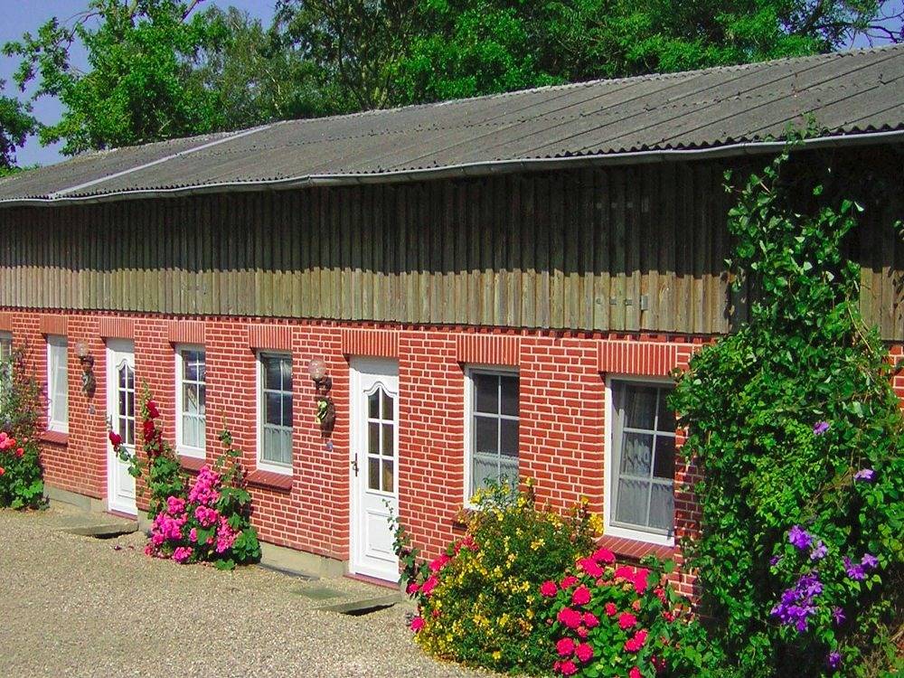Hansenhof - Kornblume in Kappeln, Kappeln & Umgebung