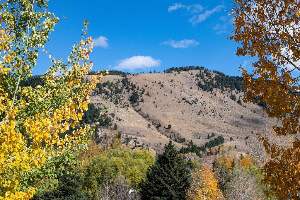 Ganze Wohnung, Außenposten: Heugabel 2306 in Jackson (WY), Grand Teton Nationalpark