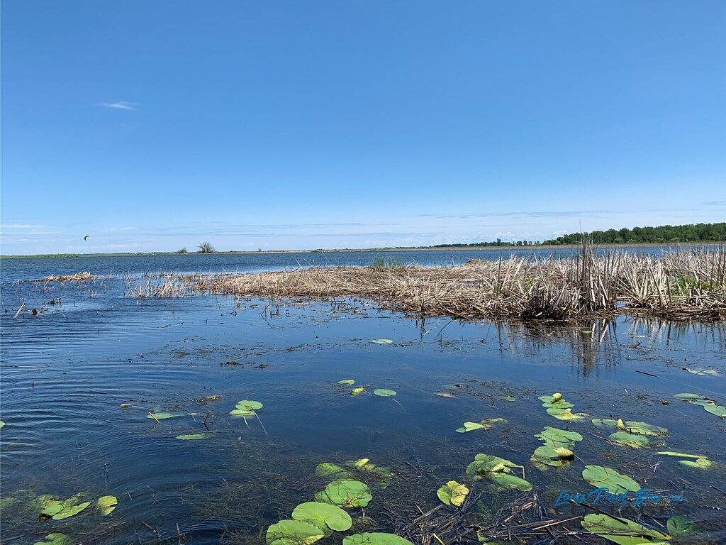 Cottage for 15 Guests in Lake Erie (Canada)
