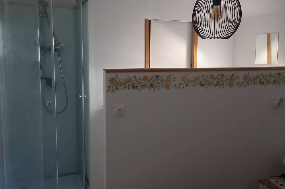 House with swimming pool near Salon de Provence in Pélissanne, Region de Aix-en-Provence