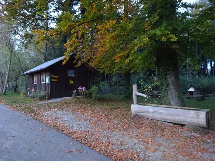 Ganze Wohnung, Rehalp Westen in Blidegg, Hauptwil-Gottshaus