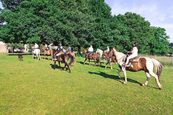 Casa rural para 3 personas, con vistas además de piscina y jardín, Se admiten mascotas en Provincia de Lugo - 3