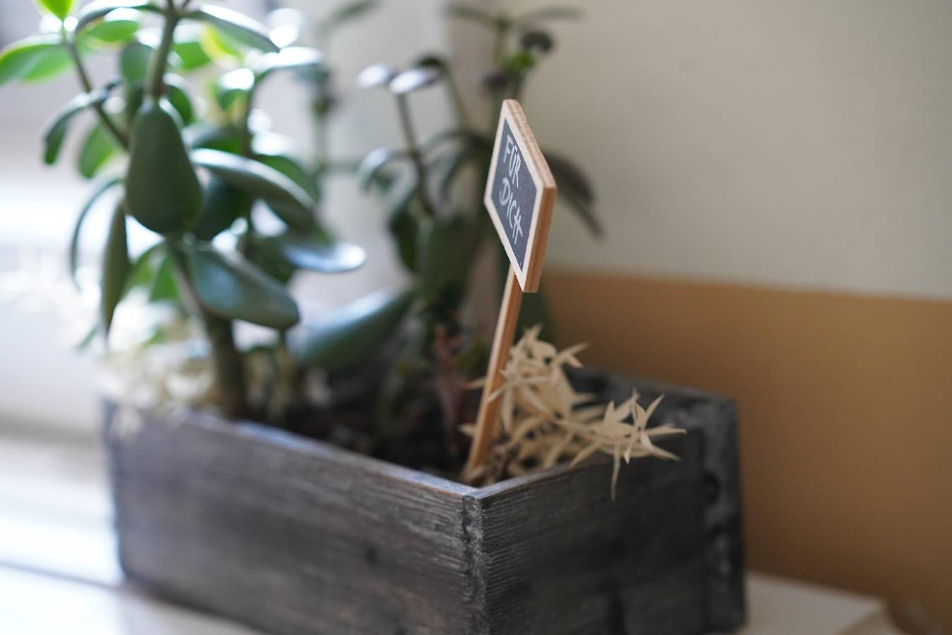 Ganze Ferienwohnung, Fewo Wasserkuppe 90qm mit Holzofen in Ehrenberg, Rhön-Hessen