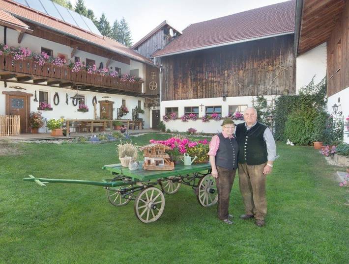 Bauernhof für 4 Personen, mit Garten und Balkon, kinderfreundlich im Bayerischer Wald - 3