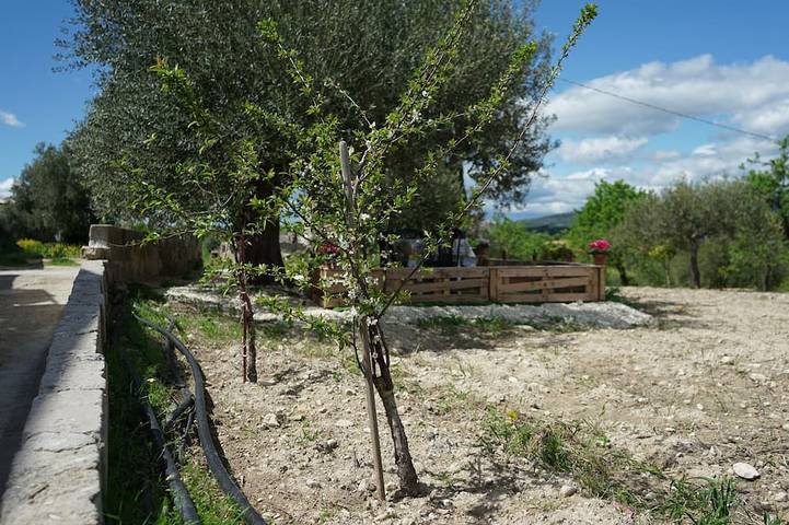 Baglio Netino Noto(Sr) in Noto, Noto region
