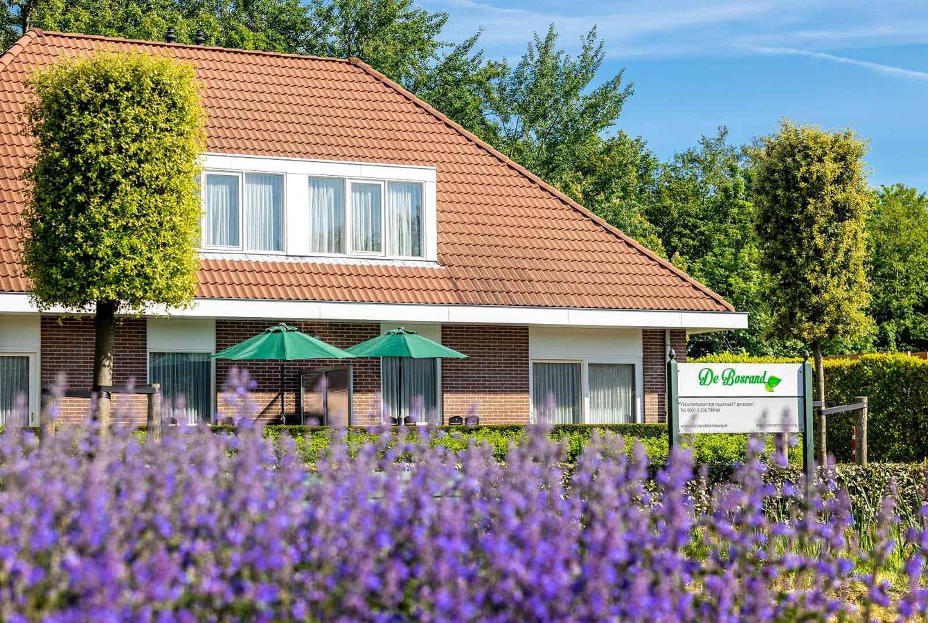 7-Personen-Ferienhaus in der Nähe des Zentrums, des Waldes und des Strandes von Domburg in Domburg, Walcheren