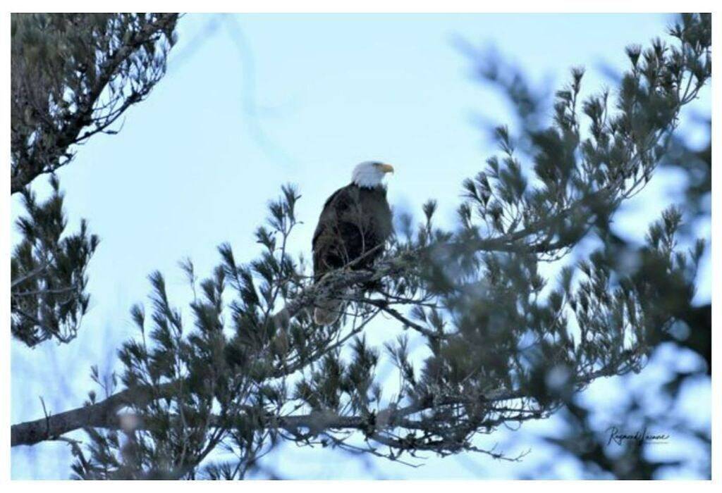 Glamping for 4 People in Stewartstown, New Hampshire