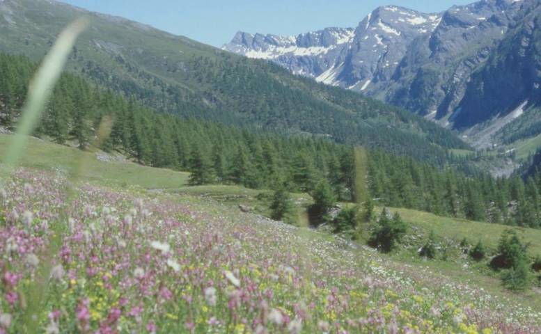 Hôtel pour 2 personnes, avec terrasse et vue à Sestrières - 3