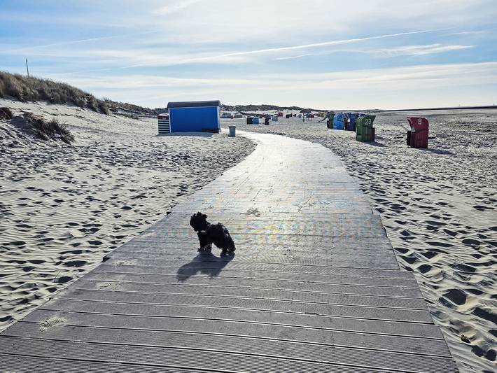 Ferienwohnung für 2 Personen, mit Terrasse auf Borkum - 3