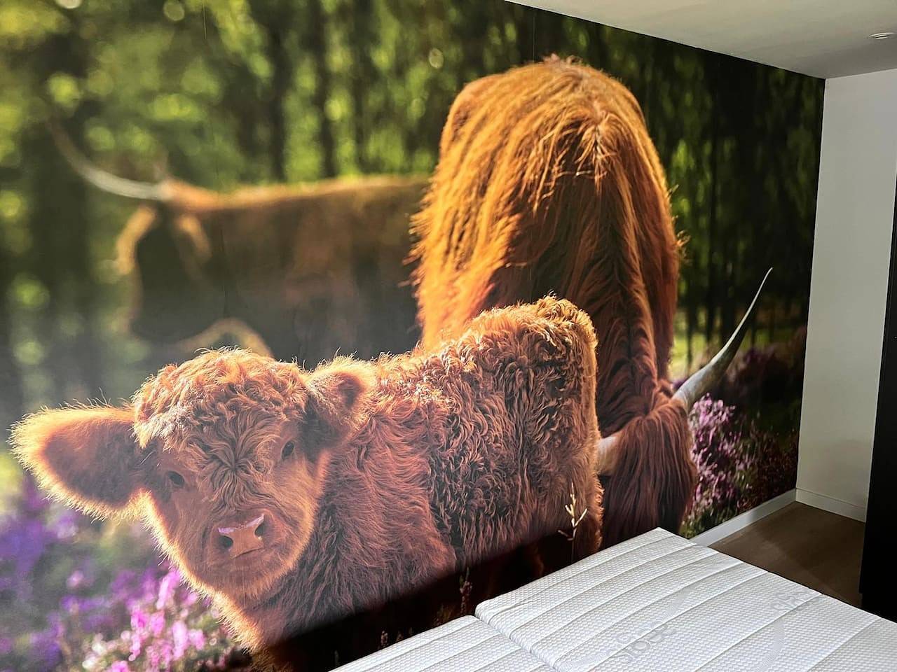 Karakteristieke vakantiewoning in Drentse boerderijstijl | De Otterberg in Nationalpark Dwingelderveld