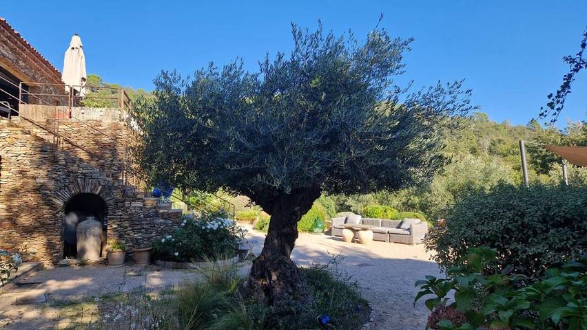 Gîte pour 2 personnes, avec sauna et vue ainsi que piscine et jardin à La Garde-Freinet - 4
