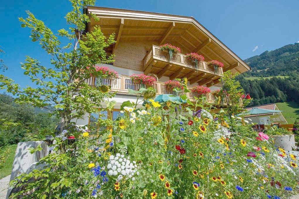 Ganze Ferienwohnung, Appartement 3 in Großarl, Ski Amadé