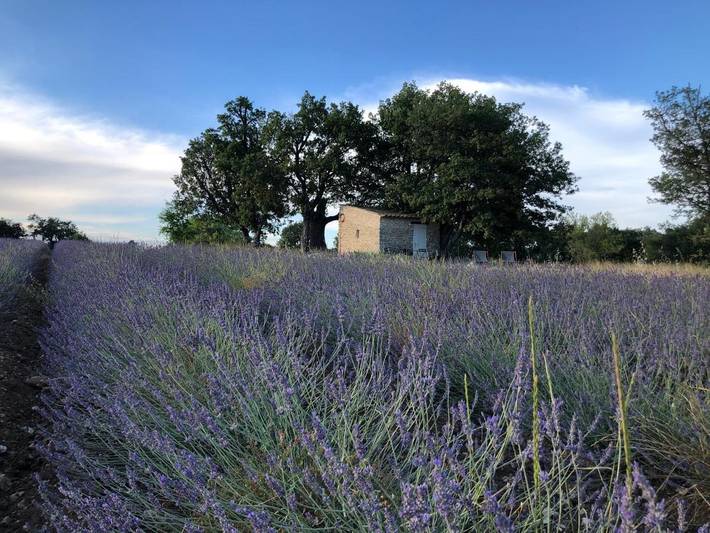 Gîte pour 2 personnes, avec piscine ainsi que vue et jardin à Saignon