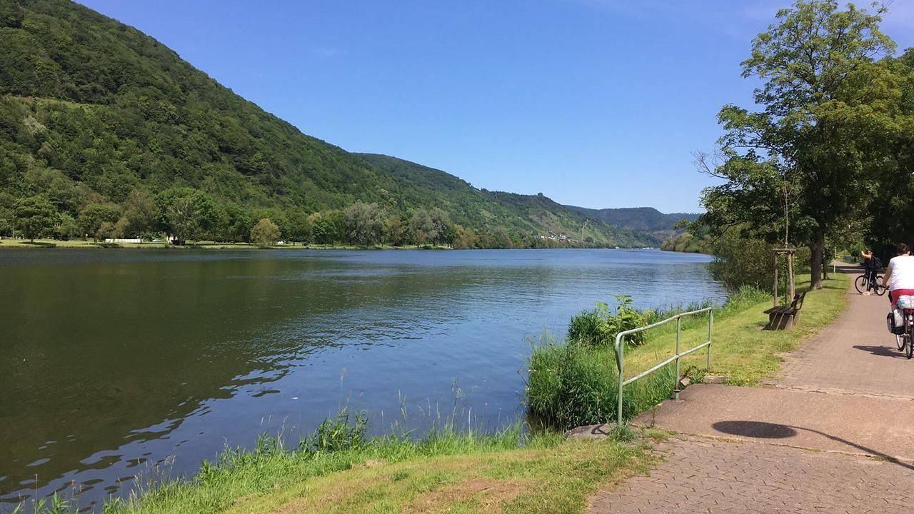 Ganze Ferienwohnung, Ferienwohnung für 3 Personen (42 m²) in Schweich in Schweich, Moseleifel