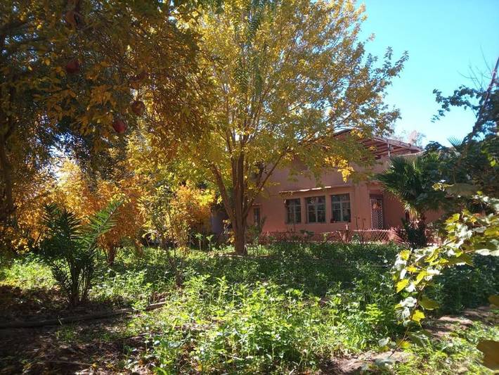 Maison d’hôte pour 3 personnes, avec terrasse ainsi que vue et jardin, animaux acceptés dans Skoura