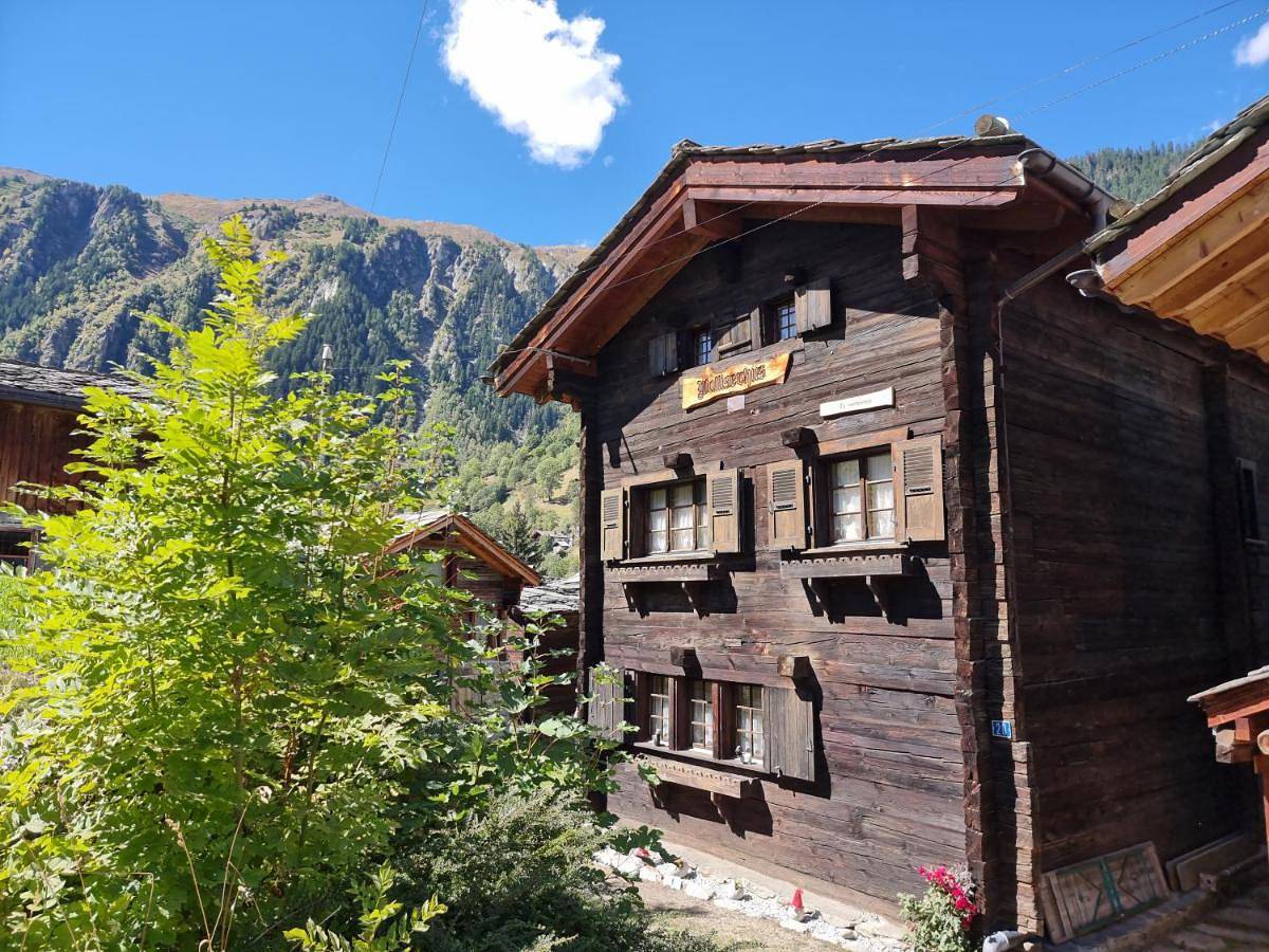 Ganze Wohnung, Walliserhüs Wh0 in Naters, Brig