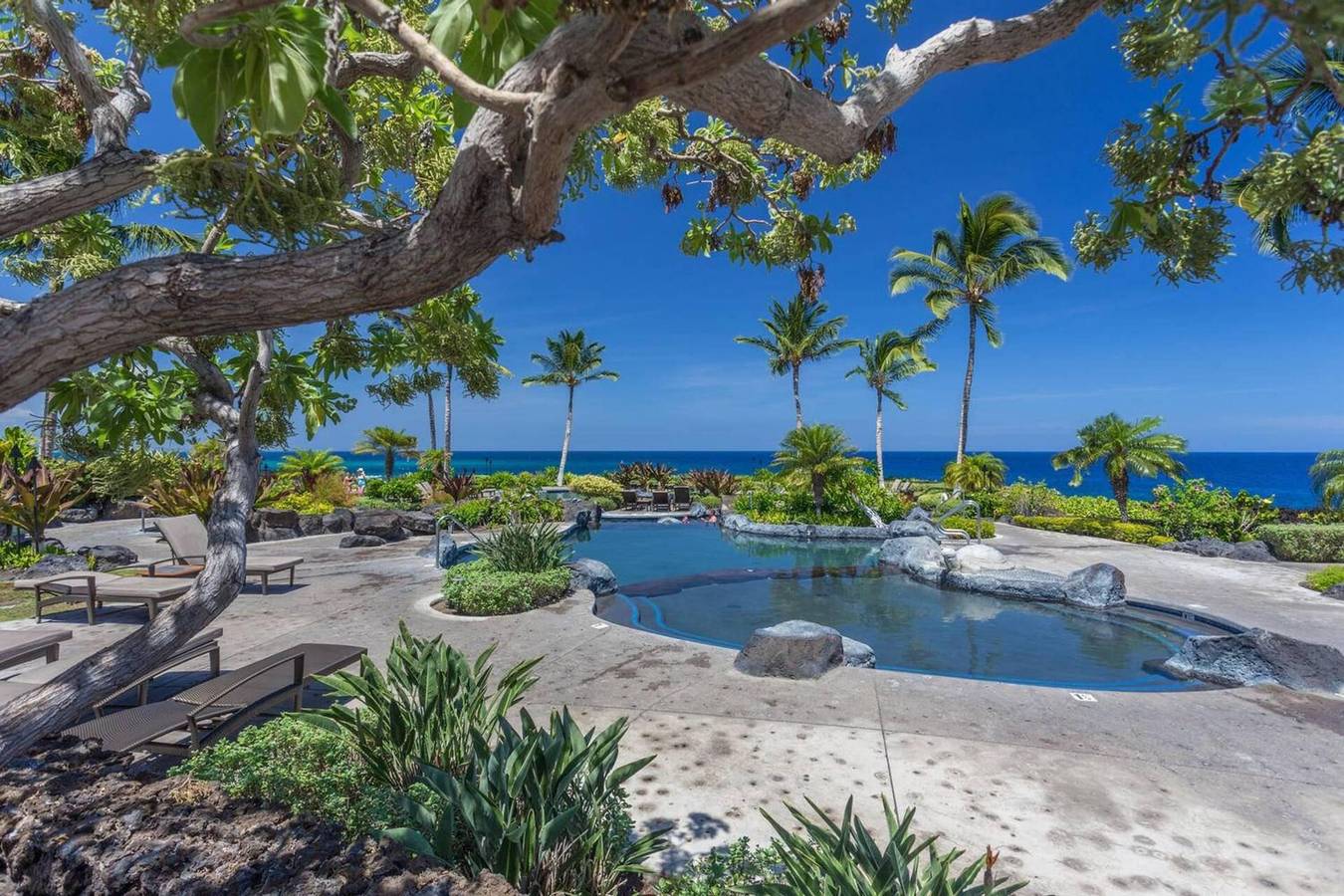 Entire apartment, Hale Pikake in Kamuela in Kohala