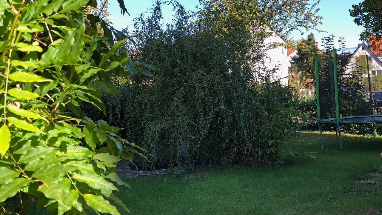 Ganze Ferienwohnung, Ferienwohnung für 2 Personen (34 m²) in Kassel in Harleshausen, Kassel