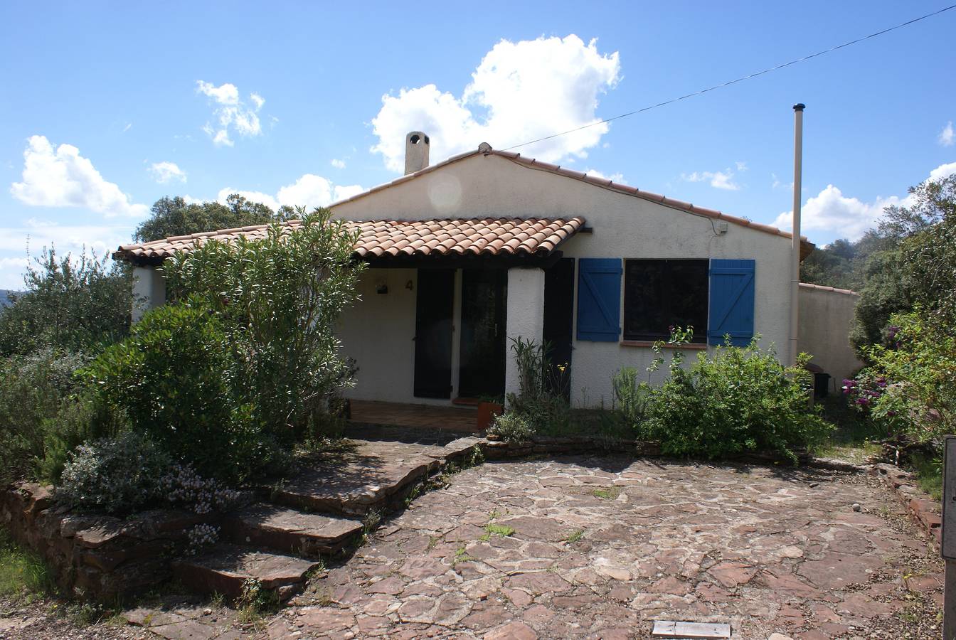 Marcassins 4 in Saint-Jean-de-la-Blaquière, Région de Lodève