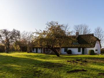 Ferienhaus für 6 Personen in Vieregge, Neuenkirchen (Rügen), Bild 2