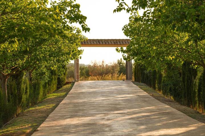 Casa rural con piscina para 2 personas, con jardín además de jacuzzi y piscina en Castilla-La Mancha - 4