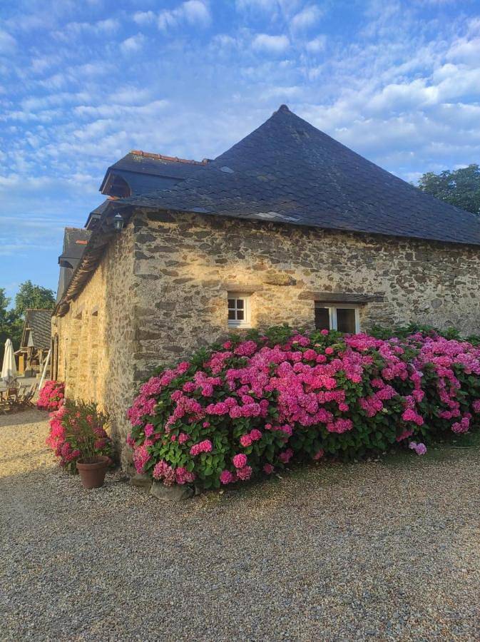 Chambre d’hôte pour 10 personnes, avec vue ainsi que jardin et piscine dans Mayenne - 2
