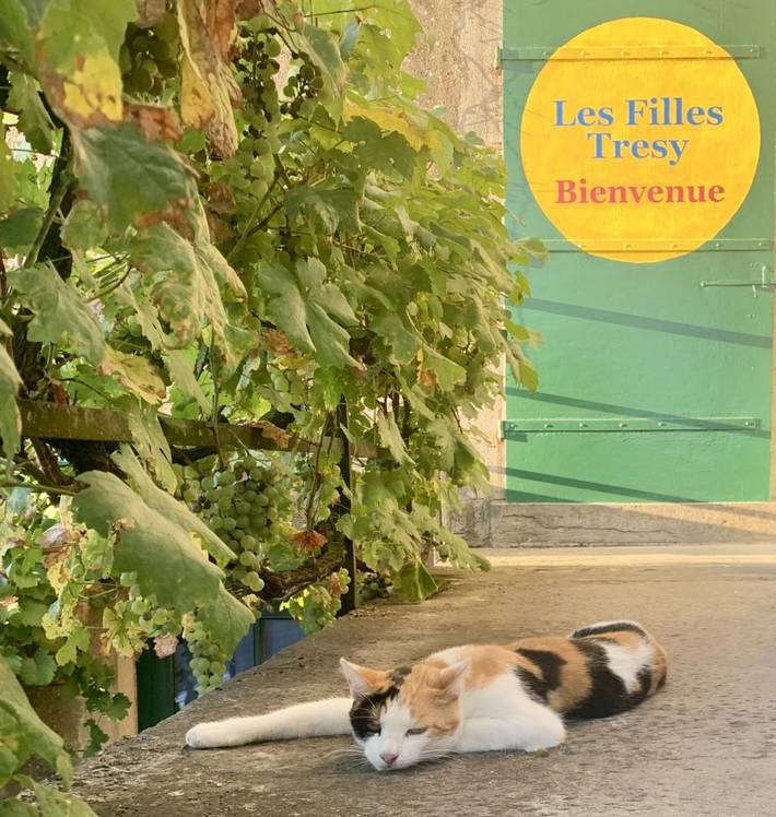 Gîte pour 2 personnes, avec jardin à Passenans - 3
