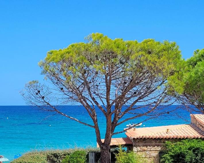 Appartement de vacances pour 6 personnes, avec vue et terrasse, animaux acceptés