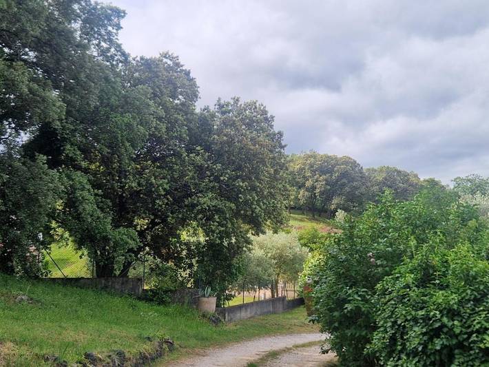 Gîte pour 3 personnes, avec vue et jardin à Saint-Privat-des-Vieux